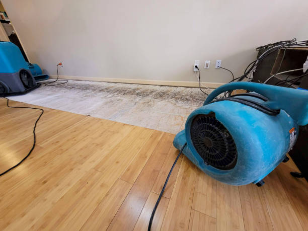 Professional Flood Damage Cleanup technician working in Cleveland, MN